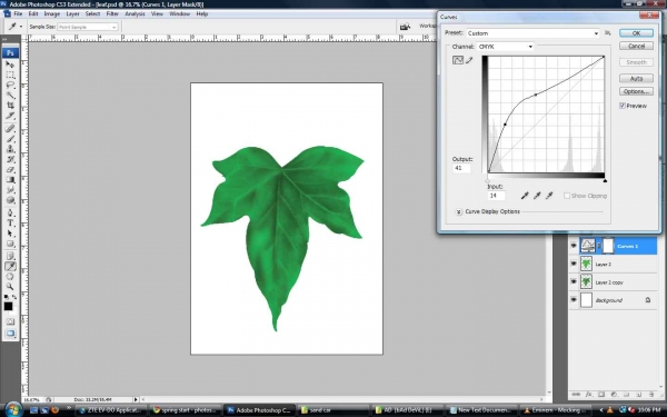 Creation of The Leaf: Step 3